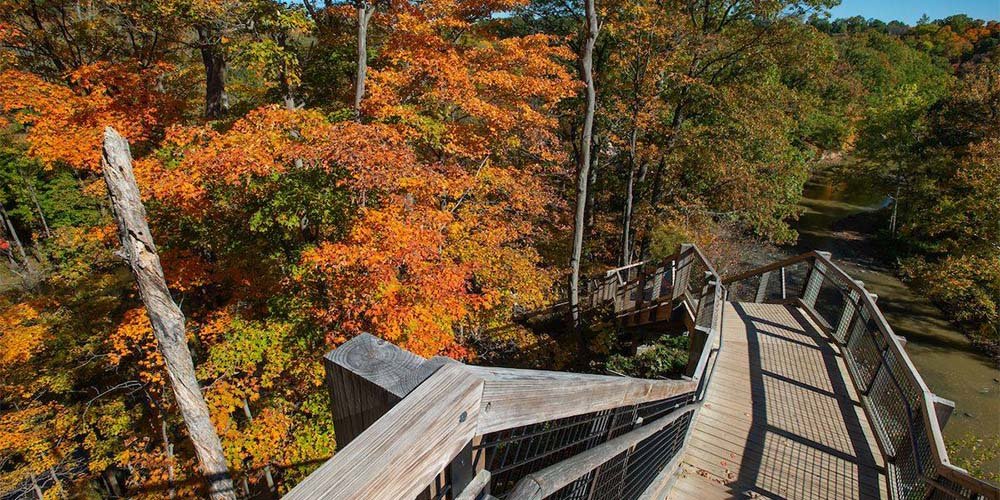 Can You Suggest Parks For A Peaceful Nature Walk In Cleveland?