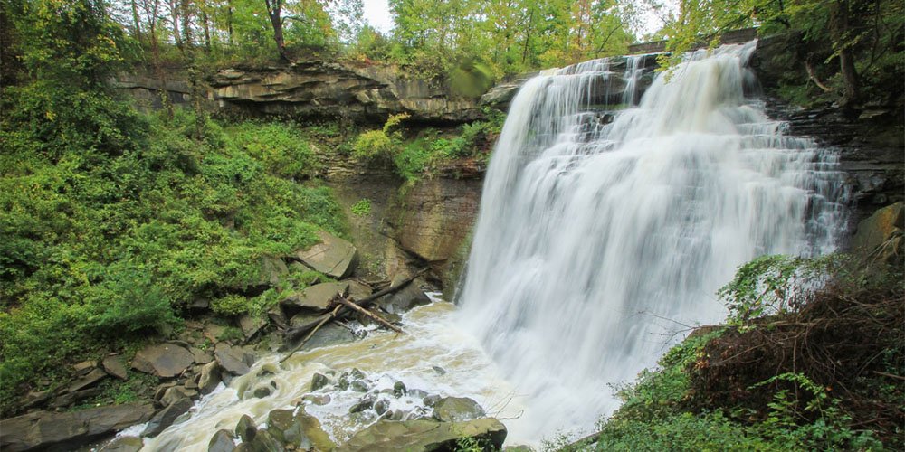 Can You Suggest Parks For A Peaceful Nature Walk In Cleveland?