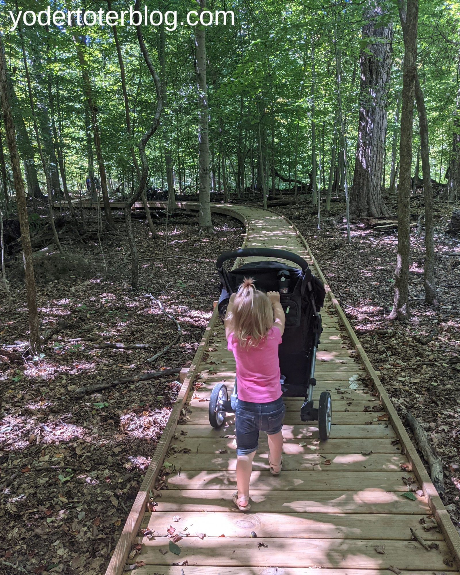 What Parks Have Accessible Trails For All Ages In Cleveland?